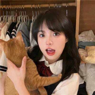 侠岚第四季